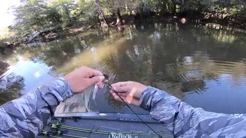 In Flooded river catching giant BASS