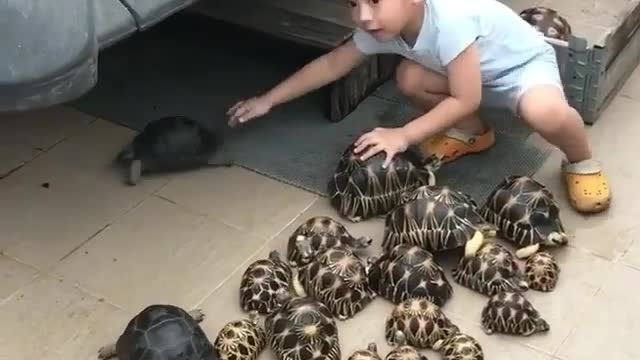 Roki playing with Group of tortles like drums on the roaf of his aunt