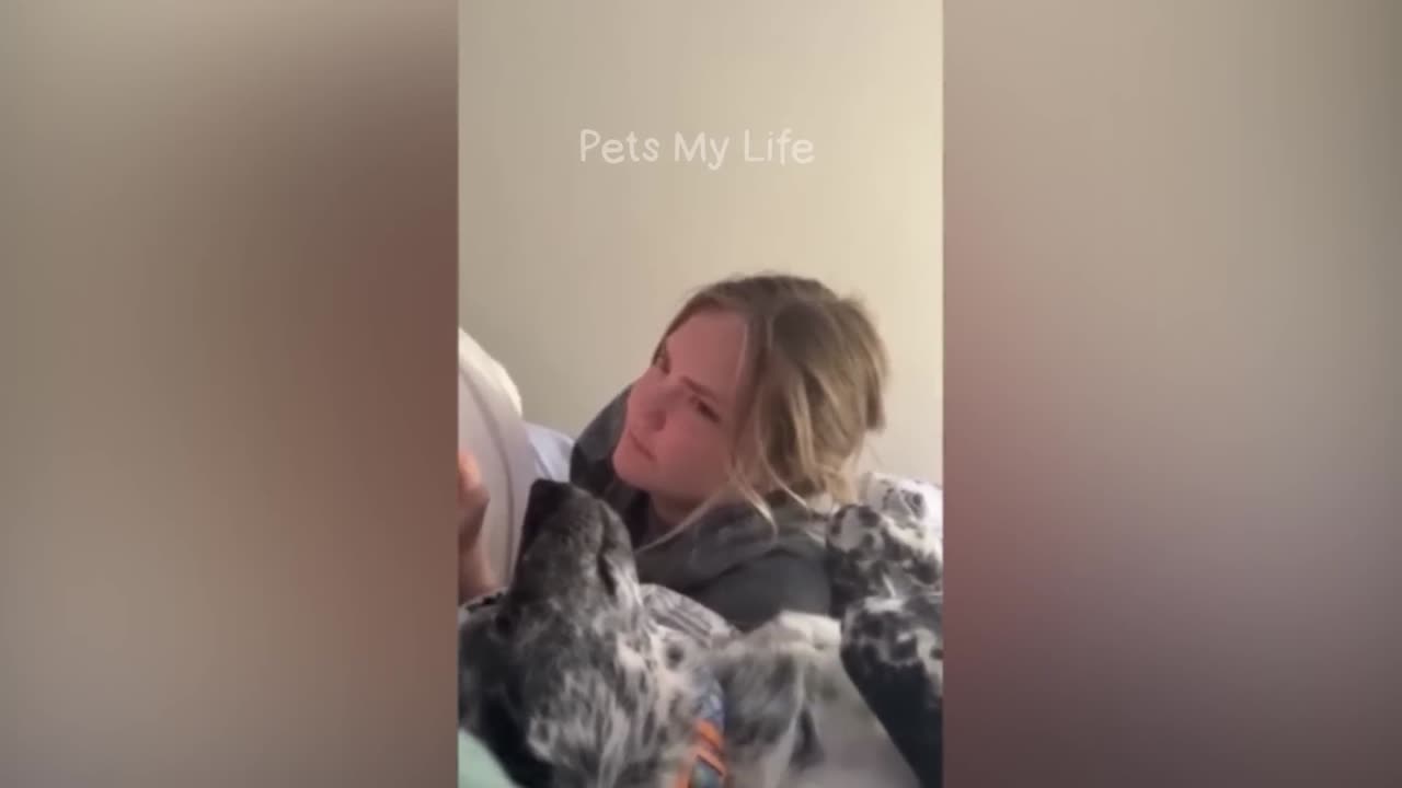 New_Funny_Animals_2023_😍😁_Funniest_Cats_and_Dogs_Videos_😹🐶