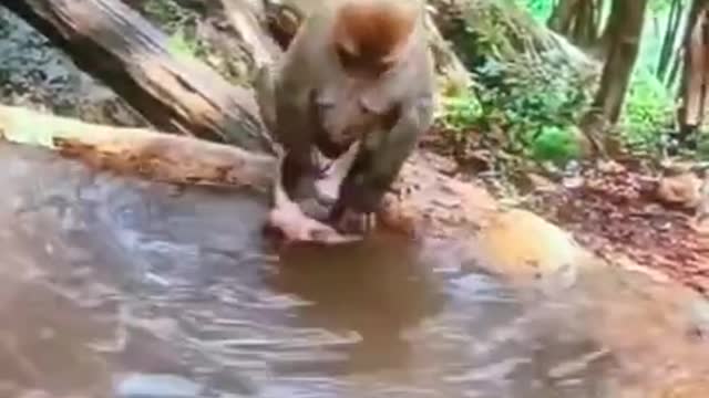 6.🤣🤣🤣... bathing #shorts