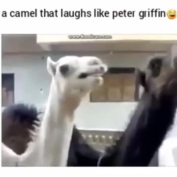 and rivers, it is autumn. Two places of lovesick