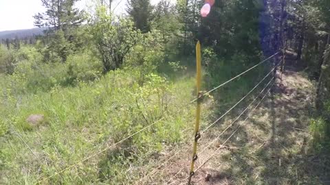 Walking the fence talking about animals, Wildfires, and the latest in electric portable fencing.