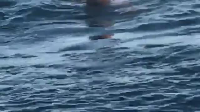 Guy jumps off trampoline into water
