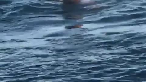 Guy jumps off trampoline into water