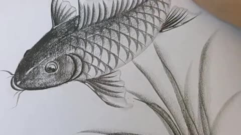 How to draw a fish