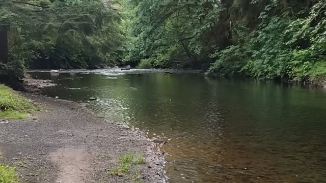 Creek walk at Camp 18