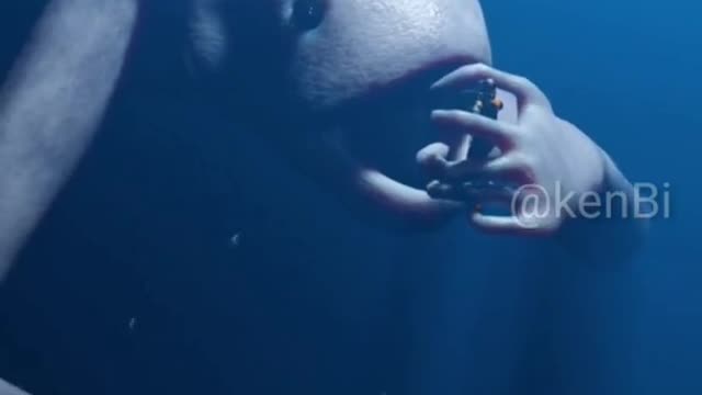 Sea monster caught on camera