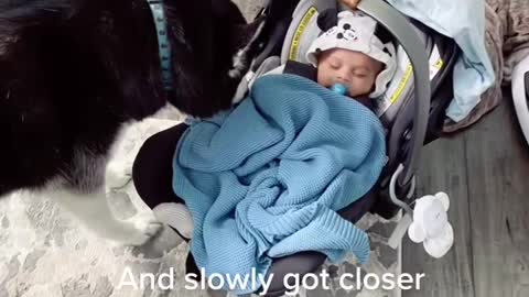 3 months of Luna and Baby E