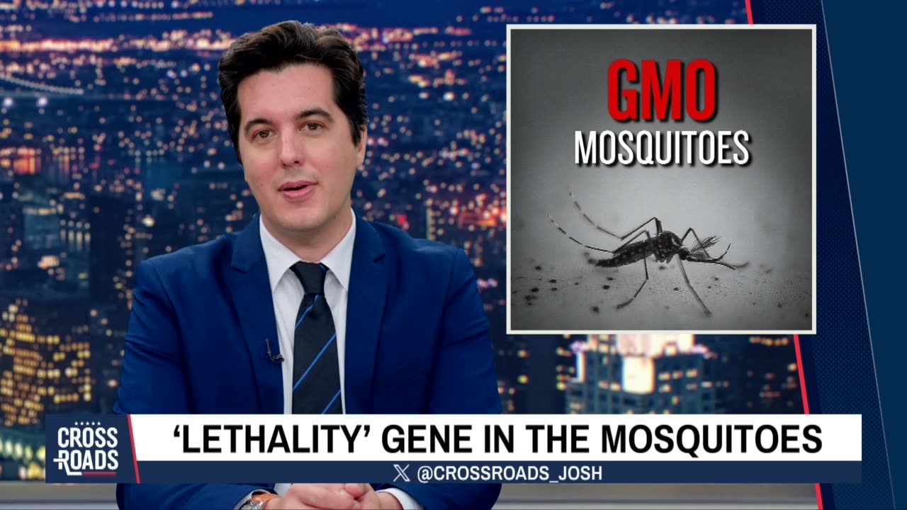 Mosquitos Modified to Spread Vaccines? (Epoch Times - August 2023 -Crossroads)