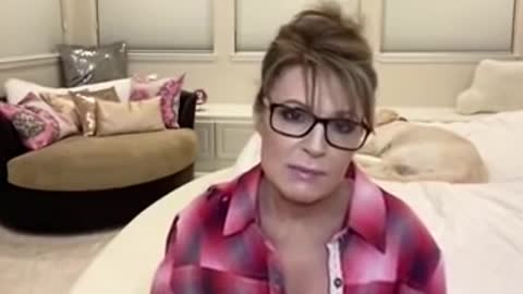 Sarah Palin realized Julian Assange