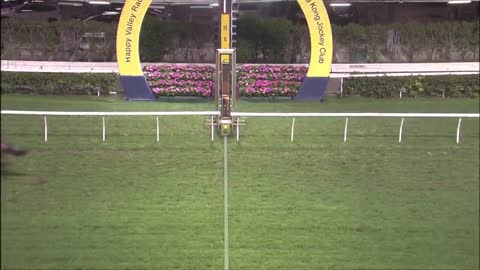 Horse_Race_2022052507_English