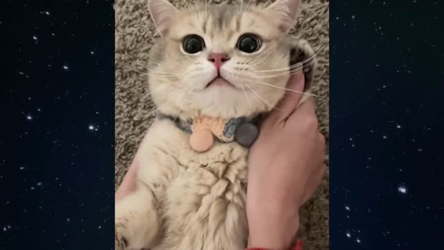 Call to a friend