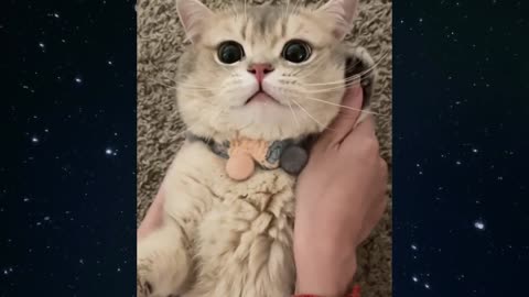 Call to a friend