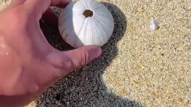 at the seaside