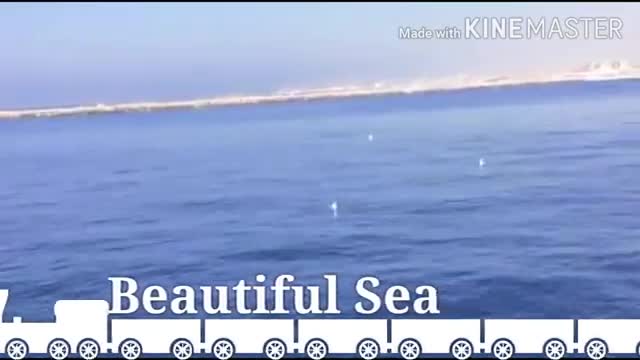 Beautiful sea video