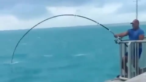 This is a beautiful and charming water-dwelling species