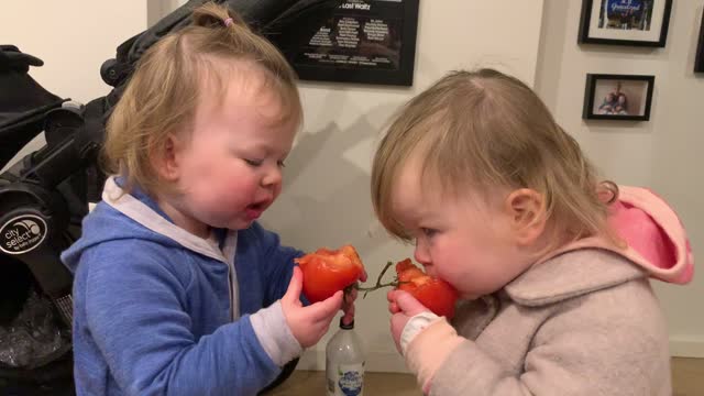 Twins Giggling While Munching On Tomatoes