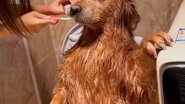Daily Bathing