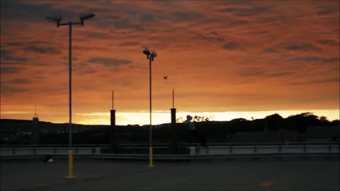 The World's Best Parkour and Freerunning