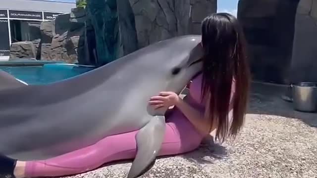 Dolphin lover's