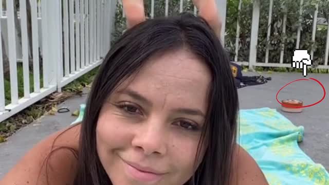 Bugs Bunny Challenge