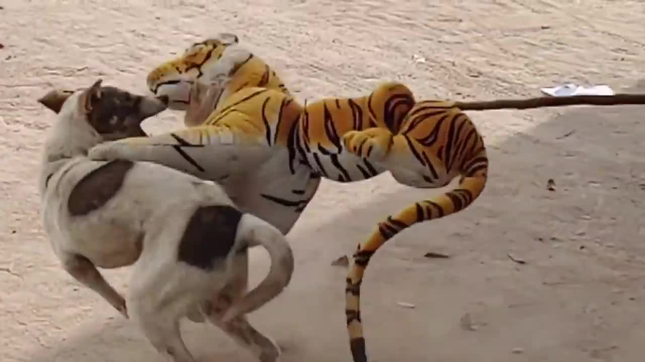 Fake Tiger Prank dog vs Tiger