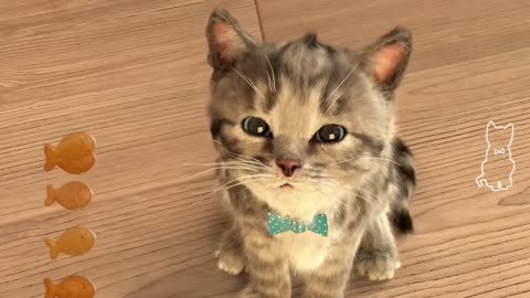 El Gato en la VIDA REAL Little Kitten My Favorite Cat My Talking Tom 2
