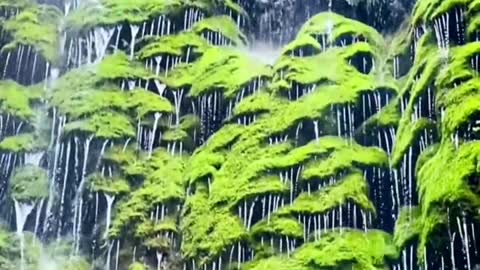 beauty in the mountains