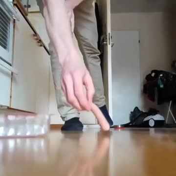 When the food falls down the cat comes at full speed