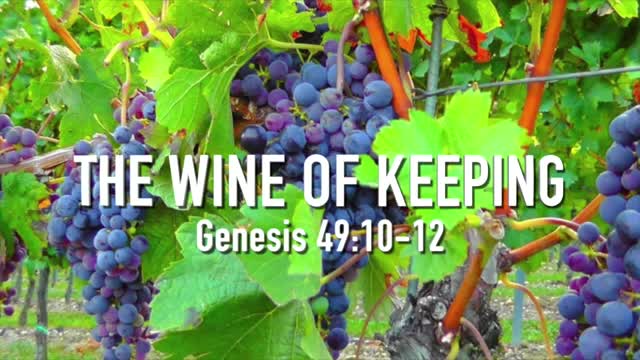 "The Wine of Keeping" Genesis 49:10-12