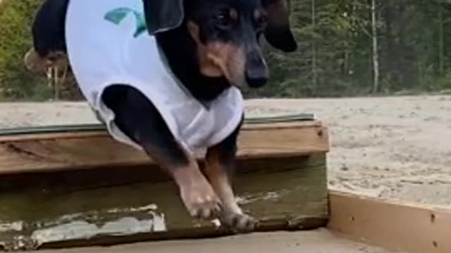 Did great, very happy