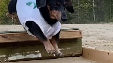 Did great, very happy