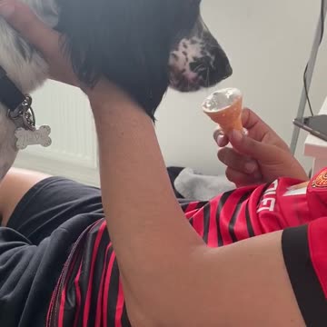 Dog tries ice cream for the first time