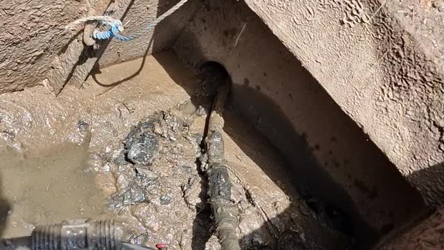 Lovely job