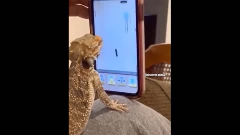 Cutest moments of baby animals aww so cute.#1😍😁😻
