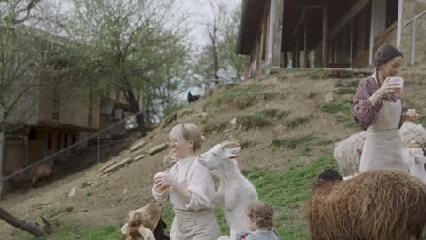 Baby and Baby Goats