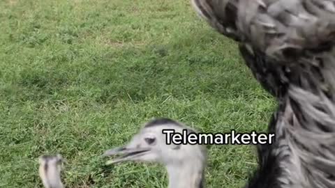 Telemarketer