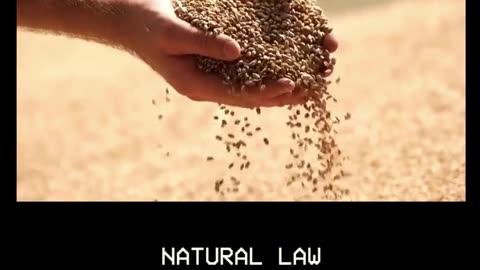 NATURAL LAW #2