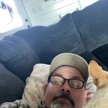 Babysitting the doggies