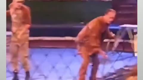 Lion Attack At Circus