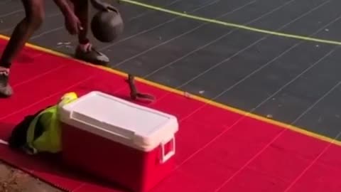 squirrel and basketball.funny