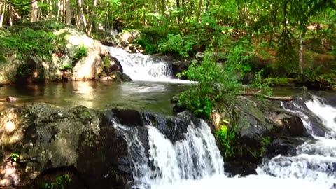 Cascades