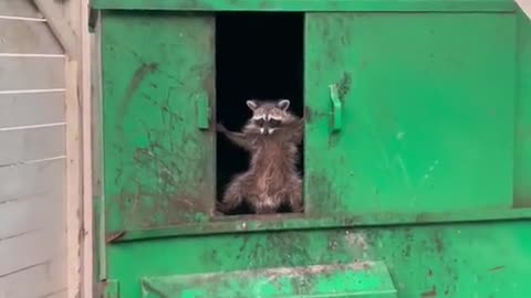 😗😗😗💕💕💕😁😁😁😁😁