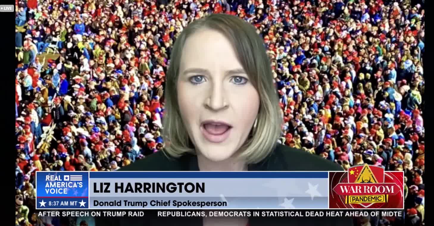 Liz Harrington: More and More People See what the Real Game Is - The Weaponized Government