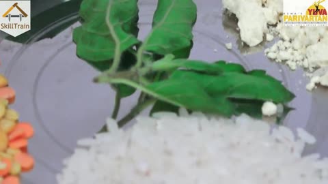 46.Home Remedies (Hindi) (हिन्दी)