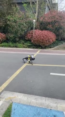 Robot dog patrols the empty streets in China with a loudspeaker as a reminder of sanitary measures