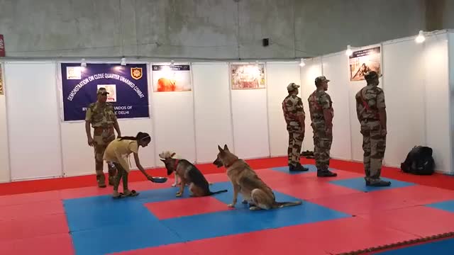 How To Train Your Dog Perfectly Like CISF Squad