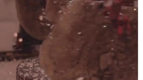 Two cute teddy bears bring everyone best lucky for merry Christmas