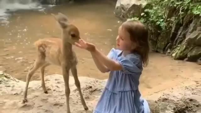 AWW SO CUTE ! Cutest baby animals Videos Compilation Cute moment of the Animals - Cutest Animals # 9