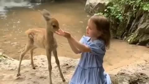 AWW SO CUTE ! Cutest baby animals Videos Compilation Cute moment of the Animals - Cutest Animals # 9